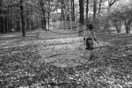 Софийска есен в парка