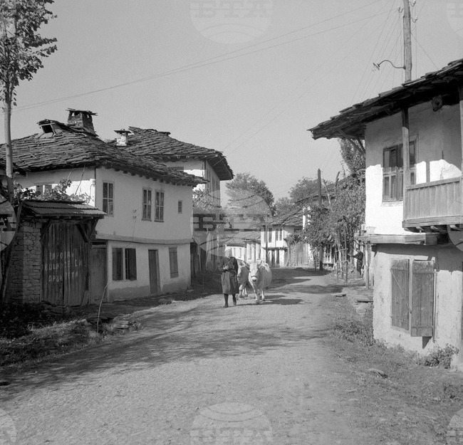 Село Орешак