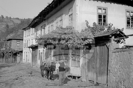 Село Орешак