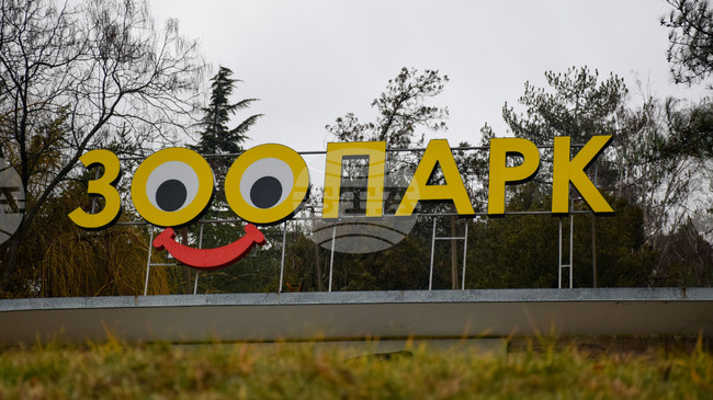 Аутопсията на починалата в благоевградския зоопарк лъвица показва туморни образувания