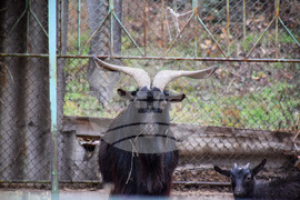 Благоевград - зоопарк