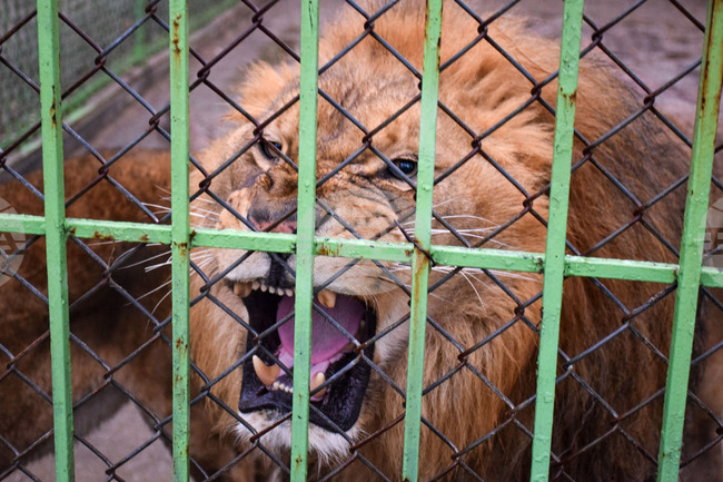 Благоевград - зоопарк