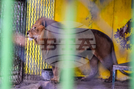 Благоевград - зоопарк