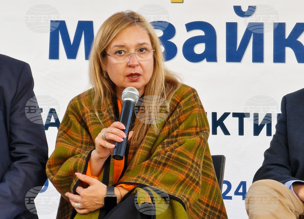 „Демократична мозайка" - фестивал - Зорница Русинова