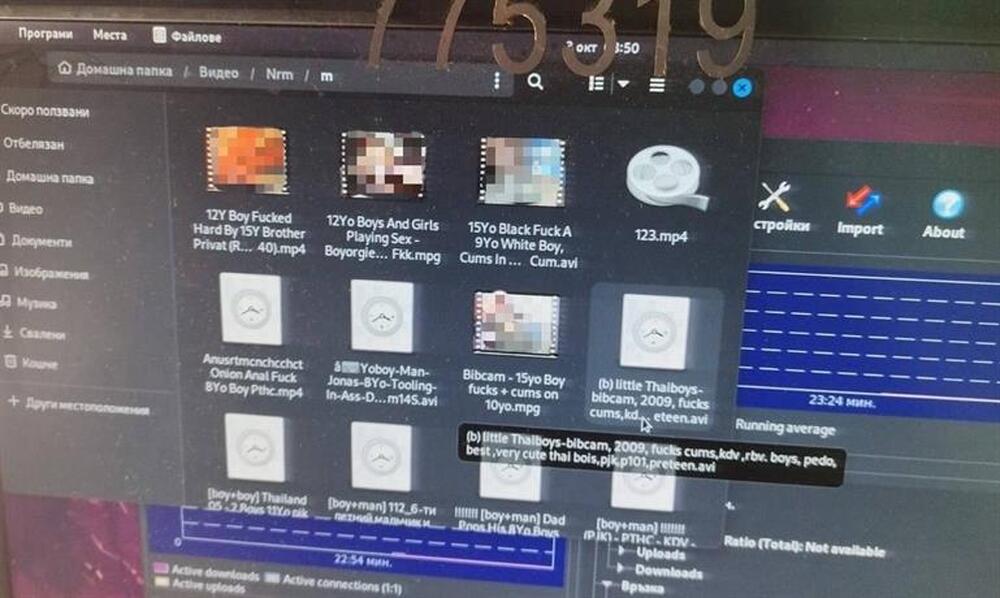 МВР: Служители на ГДБОП задържаха 9 души при спецакции срещу педофили