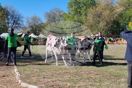 Сливен - Ден на българския производител
