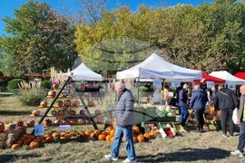 Сливен - Ден на българския производител