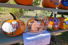 Сливен - Ден на българския производител - тикви