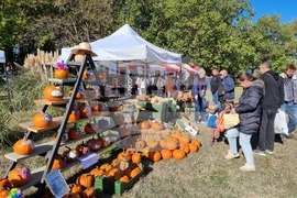 Сливен - Ден на българския производител - тикви