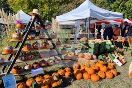 Сливен - Ден на българския производител - тикви