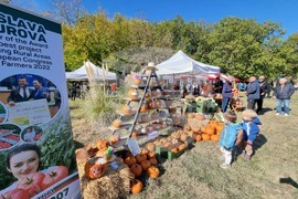 Сливен - Ден на българския производител - тикви