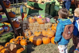 Сливен - Ден на българския производител - тикви