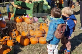Сливен - Ден на българския производител - тикви