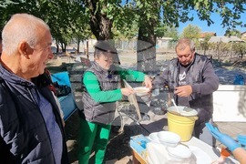 Село Радиево - фолклорен празник "Тракия пее"