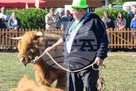 Сливен - Ден на българския производител - бик хайленд