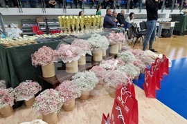 Самоков - международен турнир по художествена гимнастика - откриване