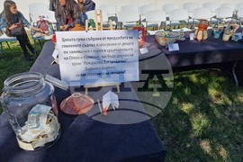 Самоков - Графична база - керамична изложба