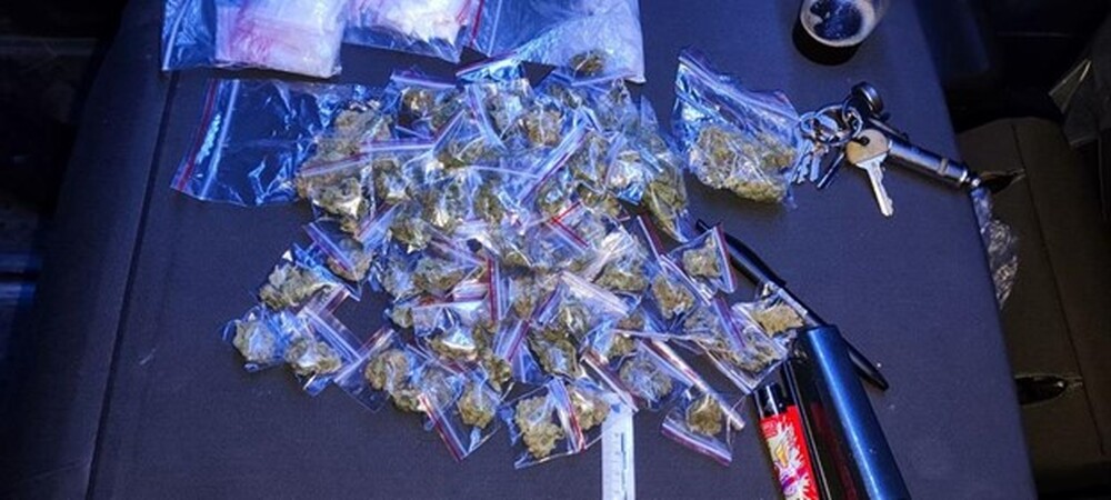 МВР: Столични полицаи задържаха 31-годишен за разпространяване на наркотици на територията на ж.к. “Люлин“