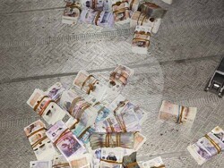 АМ - недекларирани 225 000 британски и шотландски лири