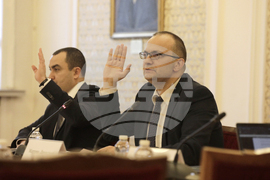 Парламент - Комисия по икономическа политика и иновации