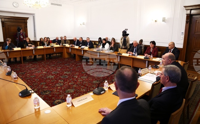 Парламент - Комисия по външна политика