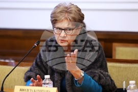 Парламент - Комисия по външна политика - Виолета Комитова