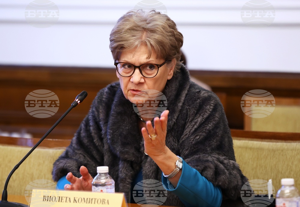 Парламент - Комисия по външна политика - Виолета Комитова