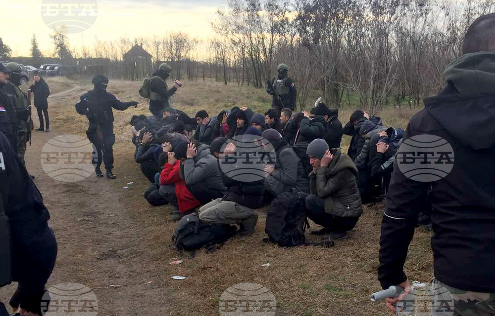 Открити са 182 нелегални мигранти в Сърбия