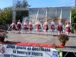 Снимка: Община Видин