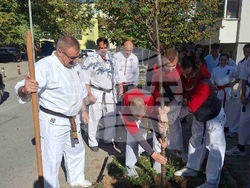 Снимка: Община Стара Загора