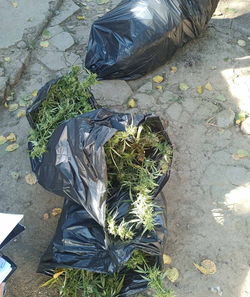 При операция на полицията в област Монтана за ден са разкрити осем престъпления