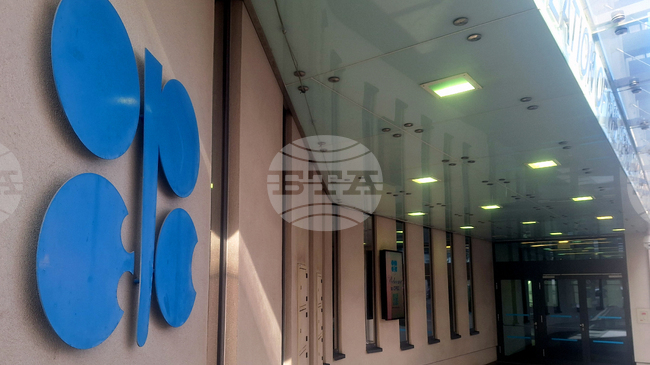 ОПЕК+ запазва добива на петрол без промяна въпреки напрежението между страните членки, обяви организацията