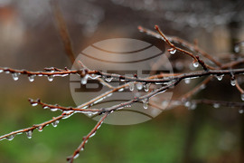 Село Лудогорци - зимни картини