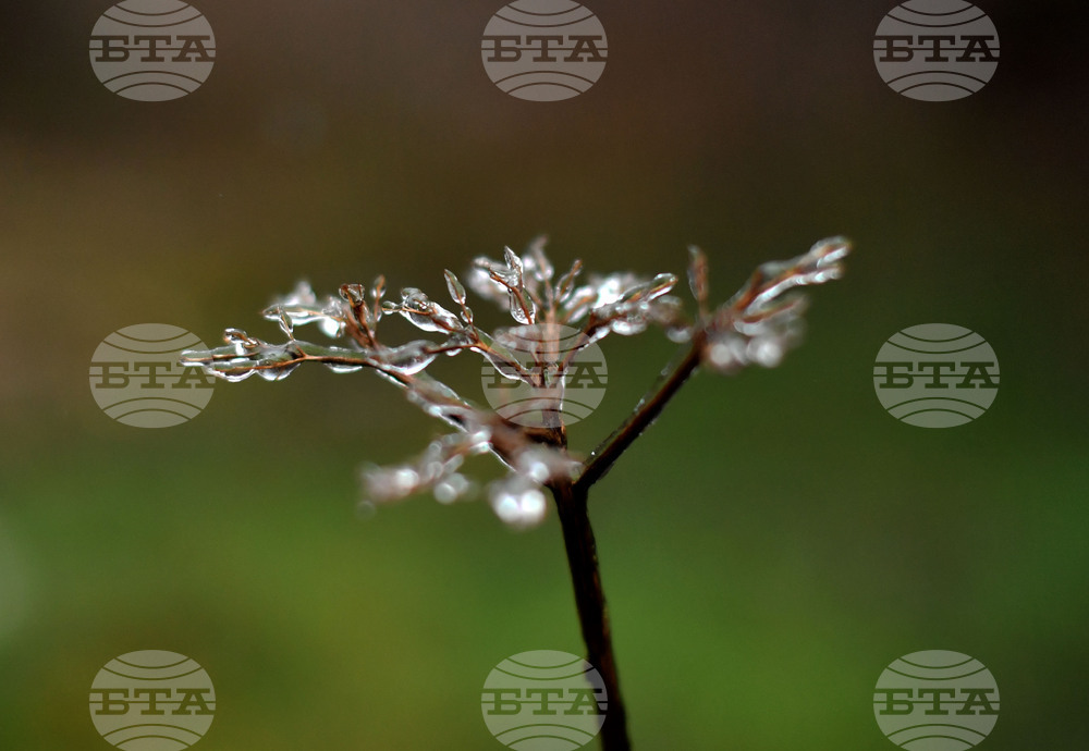 Село Лудогорци - зимни картини