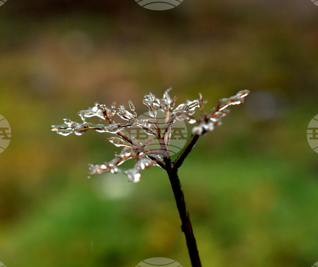 Село Лудогорци - зимни картини