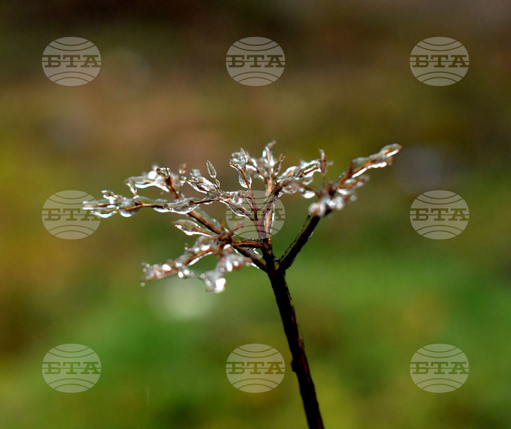 Село Лудогорци - зимни картини