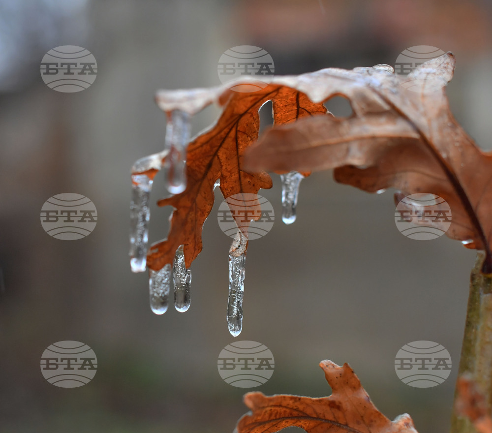 Село Лудогорци - зимни картини