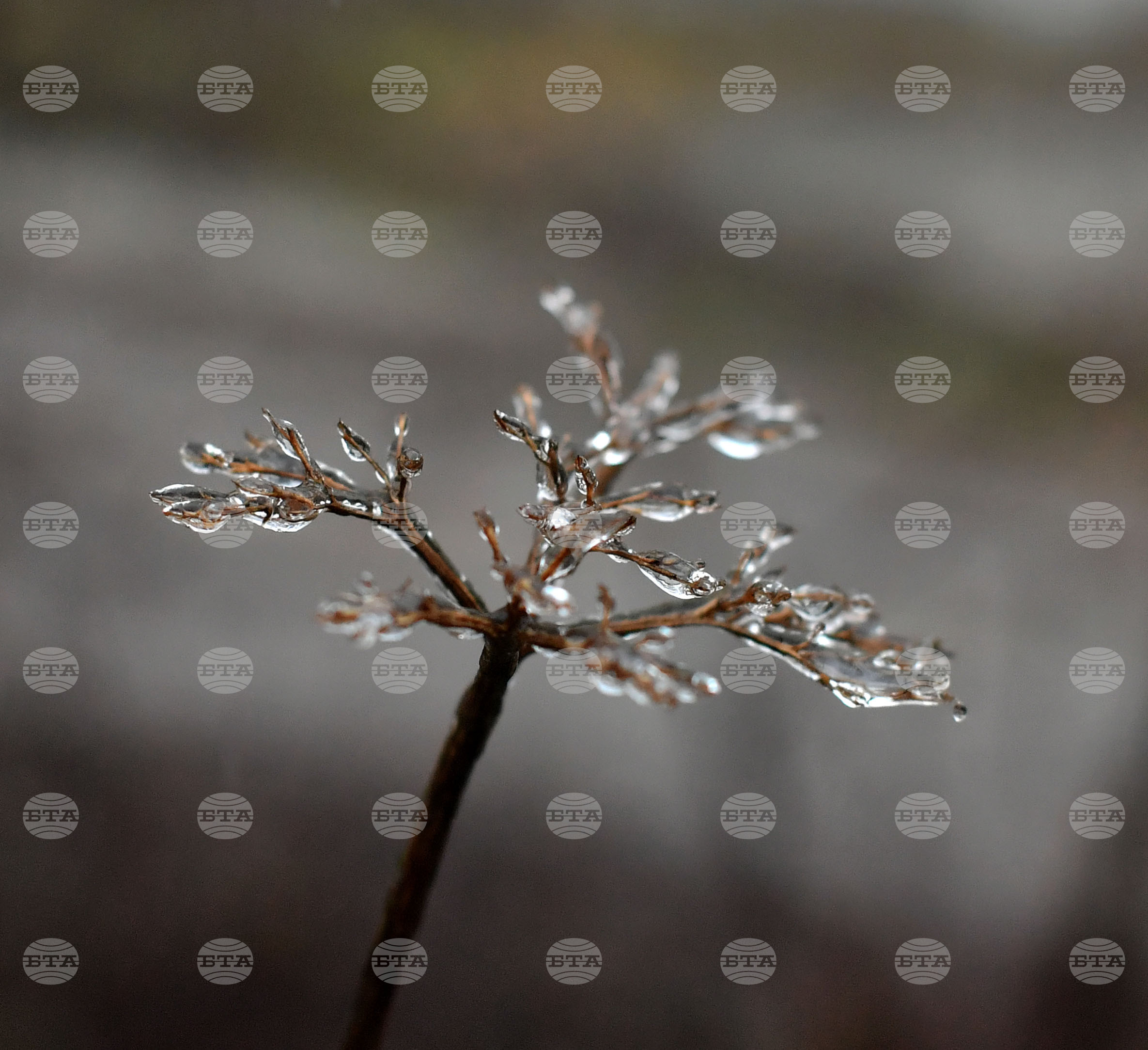 Село Лудогорци - зимни картини