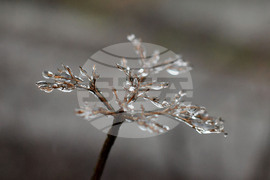 Село Лудогорци - зимни картини