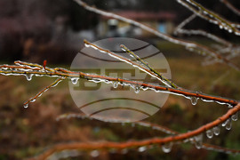 Село Лудогорци - зимни картини