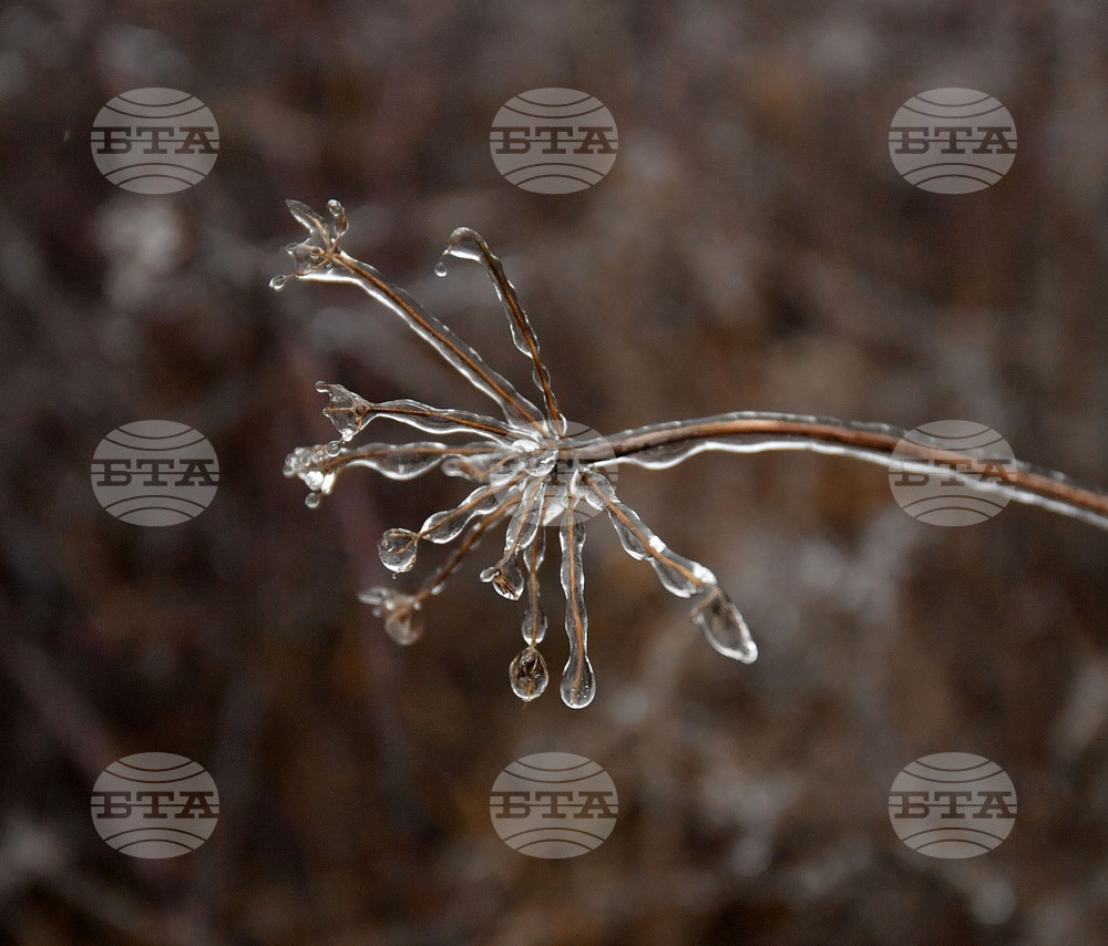 Село Лудогорци - зимни картини