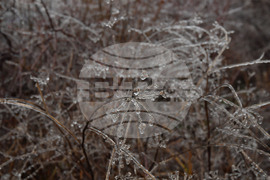 Село Лудогорци - зимни картини