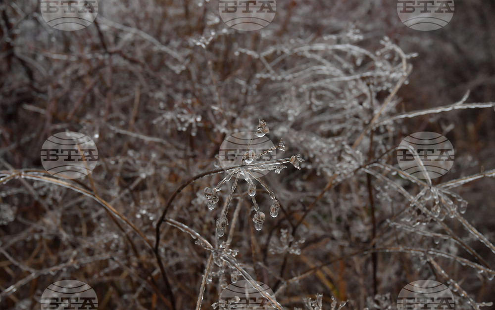 Село Лудогорци - зимни картини
