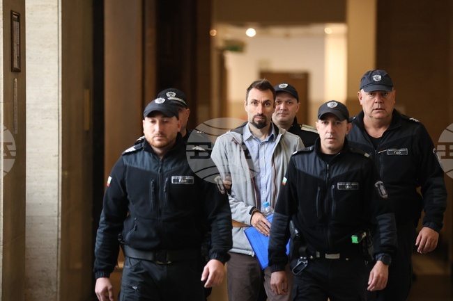 Дело - Евгения Владимирова