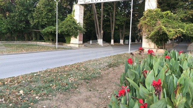 Инициативи за опазването на Дунав, рибно състезание и кулинарни надпревари са сред акцентите в предстоящия Фестивал на рибата в Козлодуй