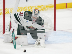 Wild Panthers Hockey