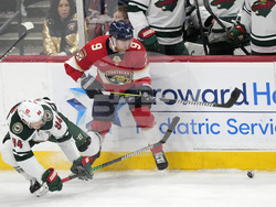Wild Panthers Hockey