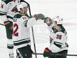 Wild Panthers Hockey
