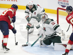 Wild Panthers Hockey