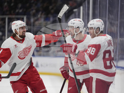 Red Wings Islanders Hockey
